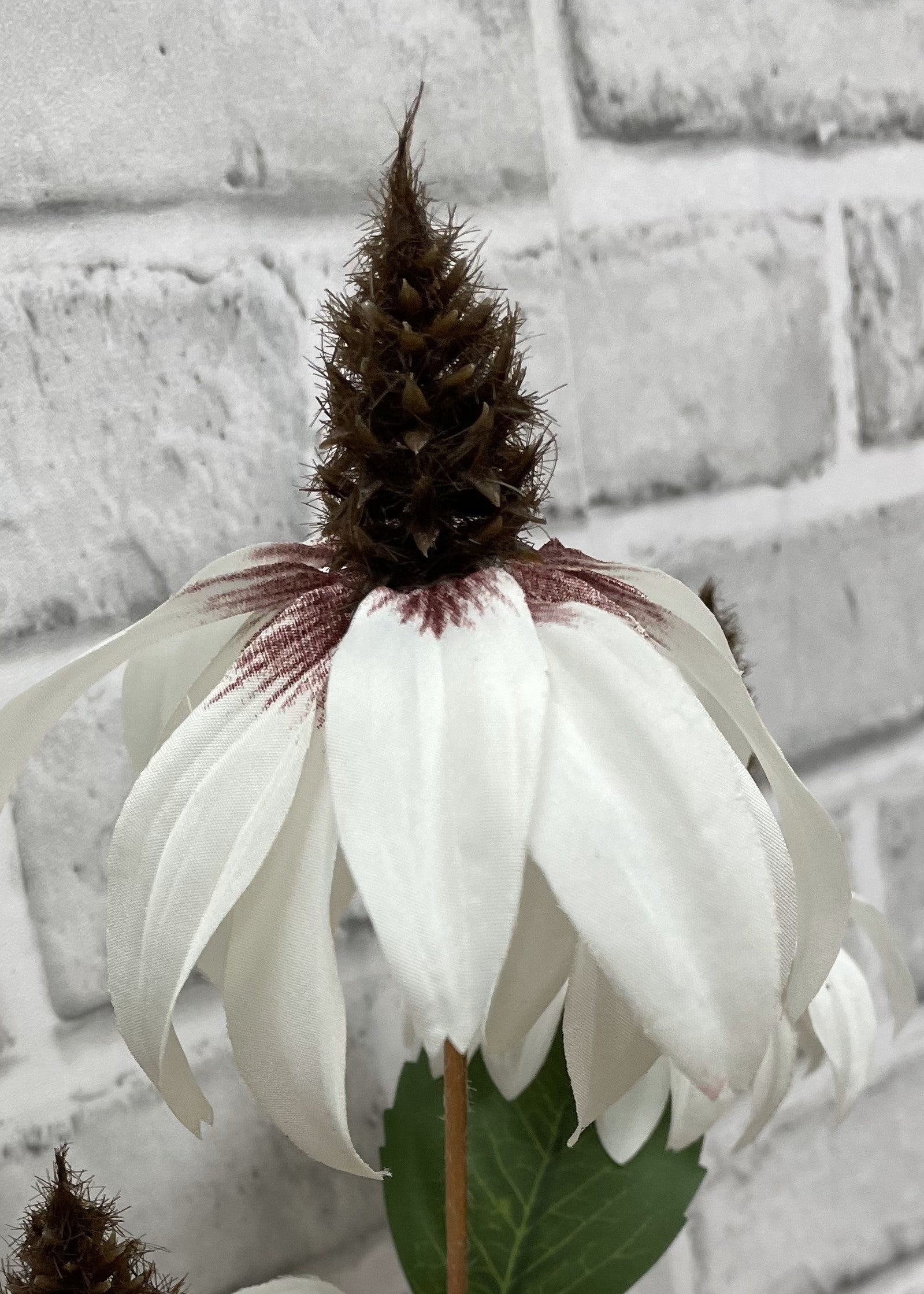 ITEM 01017 W - 36" WHITE CONE FLOWER STEM