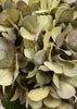 ITEM 01018 GR - 14" GREEN HYDRANGEA BUNDLE - 3 PIECES PER BUNDLE