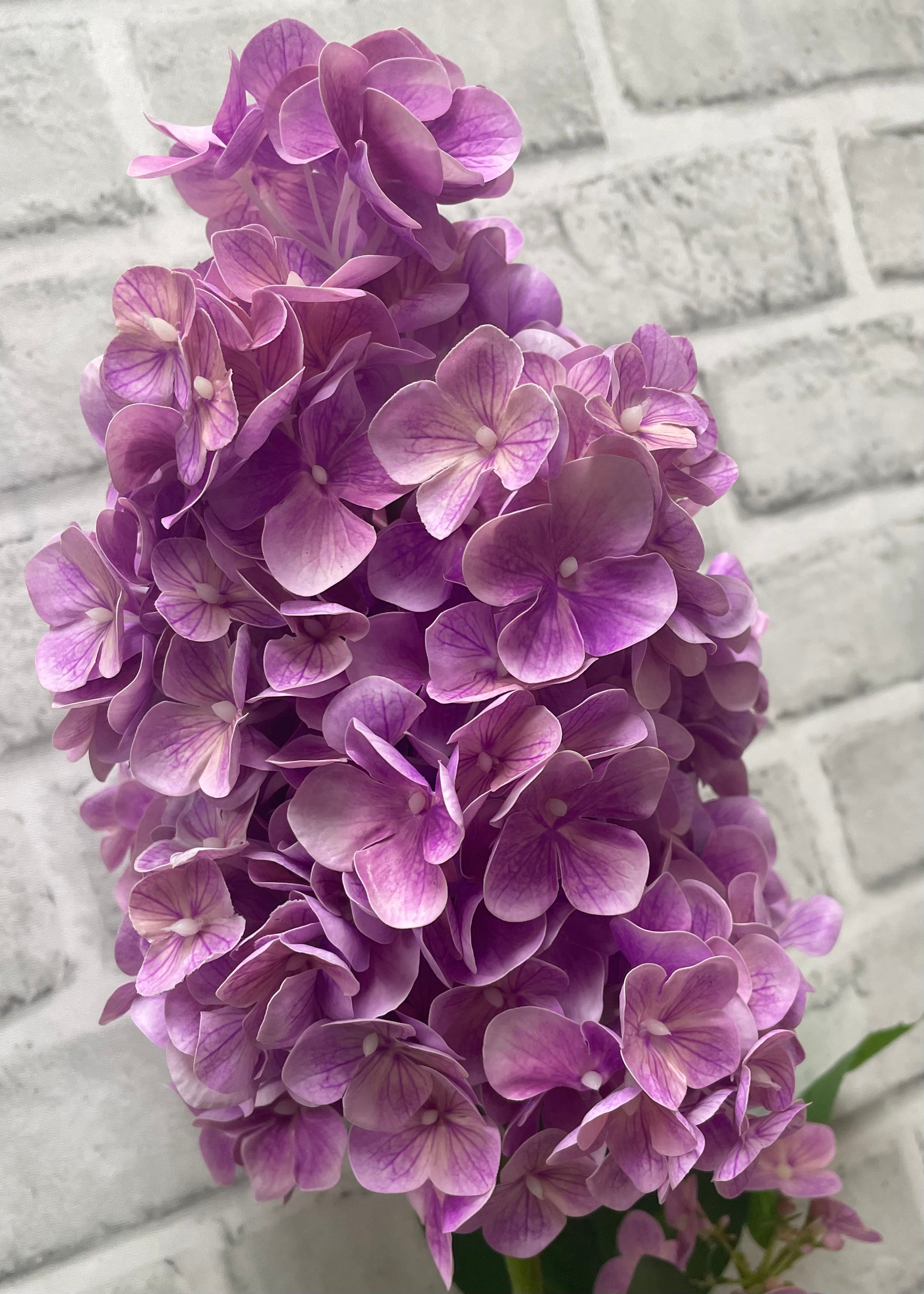 ITEM 01026 MV  - 33" MAUVE FRESH TOUCH CONE HYDRANGEA SPRAY