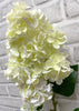 ITEM 01026 WGR  - 33" WHITE GREEN FRESH TOUCH CONE HYDRANGEA SPRAY