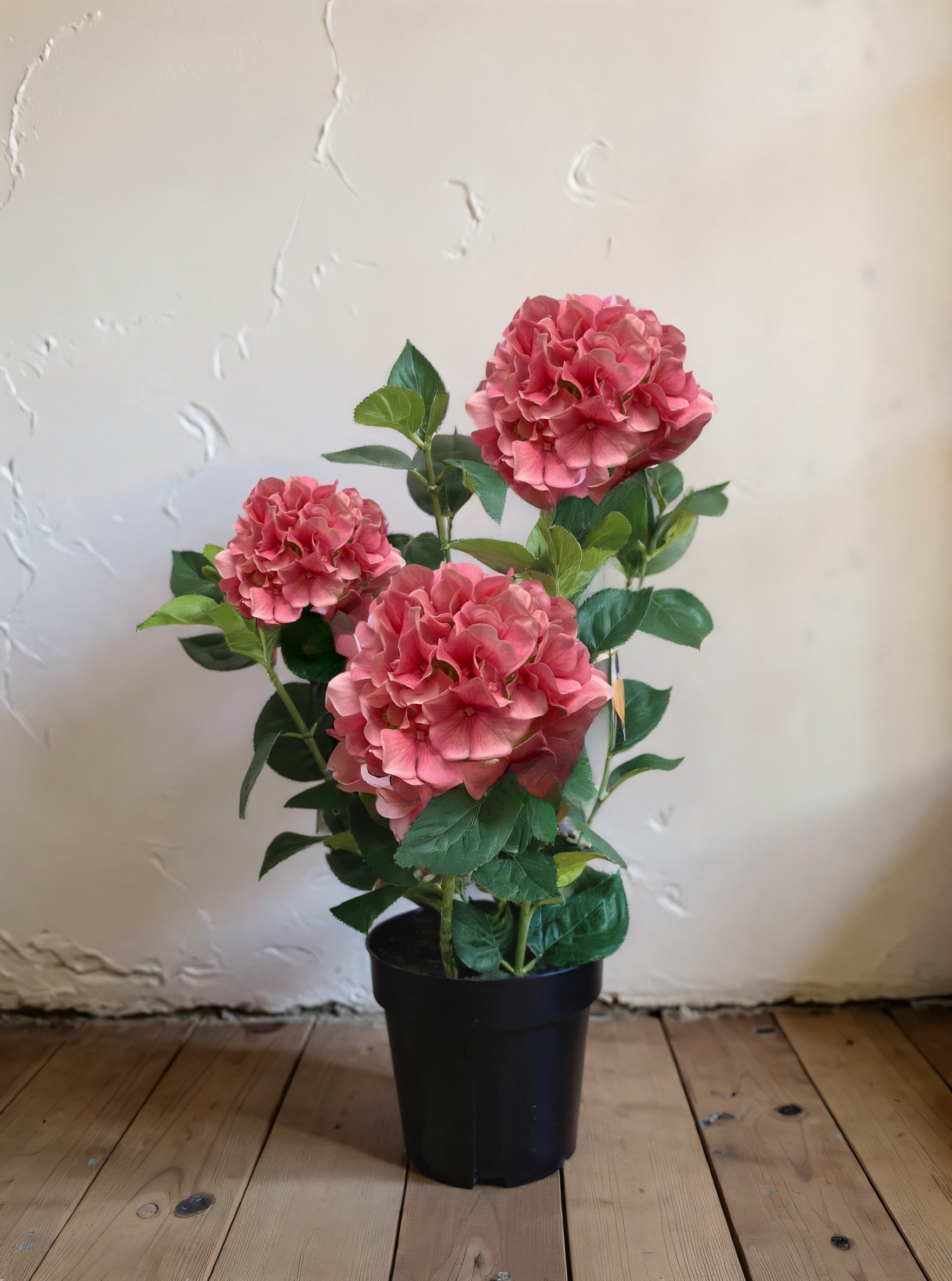 ITEM 01028 PK -  25.5" FRESH TOUCH PINK HYDRANGEA X 3 IN A PLASTIC BLACK POT