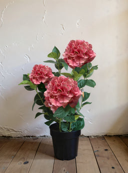 ITEM 01028 PK -  25.5" FRESH TOUCH PINK HYDRANGEA X 3 IN A PLASTIC BLACK POT