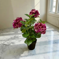 ITEM 01028 ROSE -  25.5" FRESH TOUCH ROSE HYDRANGEA X 3 IN A PLASTIC BLACK POT