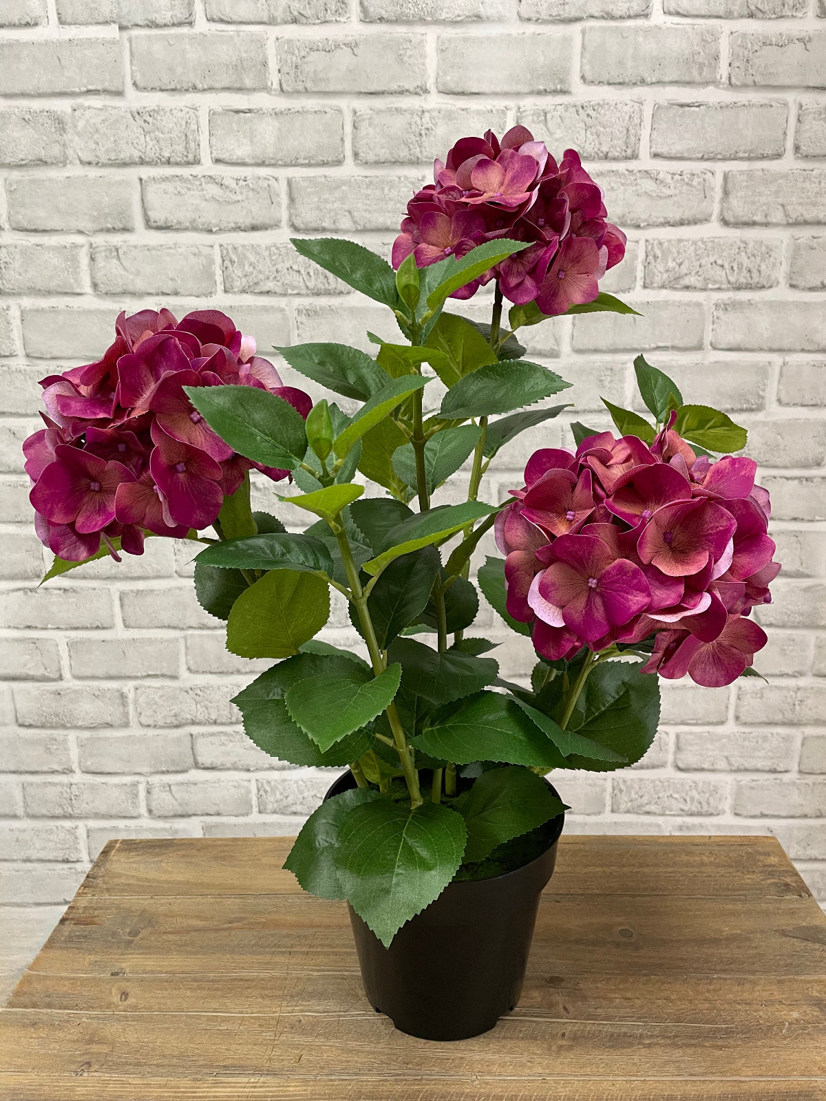 ITEM 01028 ROSE -  25.5" FRESH TOUCH ROSE HYDRANGEA X 3 IN A PLASTIC BLACK POT