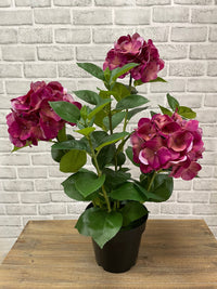 ITEM 01028 ROSE -  25.5" FRESH TOUCH ROSE HYDRANGEA X 3 IN A PLASTIC BLACK POT