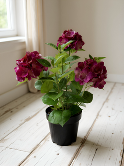ITEM 01028 ROSE -  25.5" FRESH TOUCH ROSE HYDRANGEA X 3 IN A PLASTIC BLACK POT