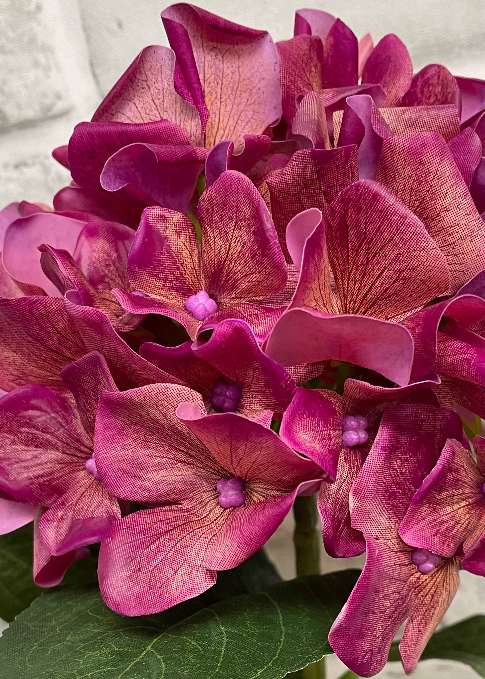 ITEM 01028 ROSE -  25.5" FRESH TOUCH ROSE HYDRANGEA X 3 IN A PLASTIC BLACK POT