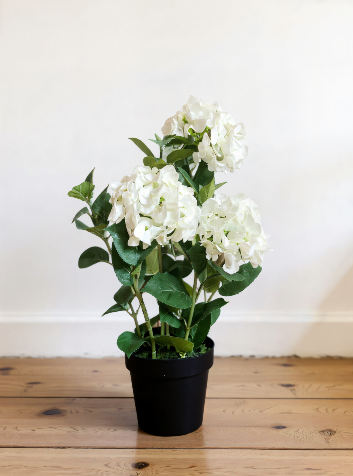 ITEM 01028 W -  25.5" FRESH TOUCH WHITE HYDRANGEA X 3 IN A PLASTIC BLACK POT