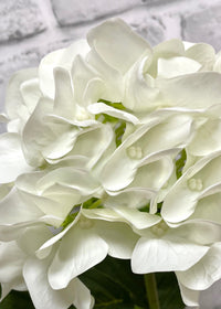 ITEM 01028 W -  25.5" FRESH TOUCH WHITE HYDRANGEA X 3 IN A PLASTIC BLACK POT