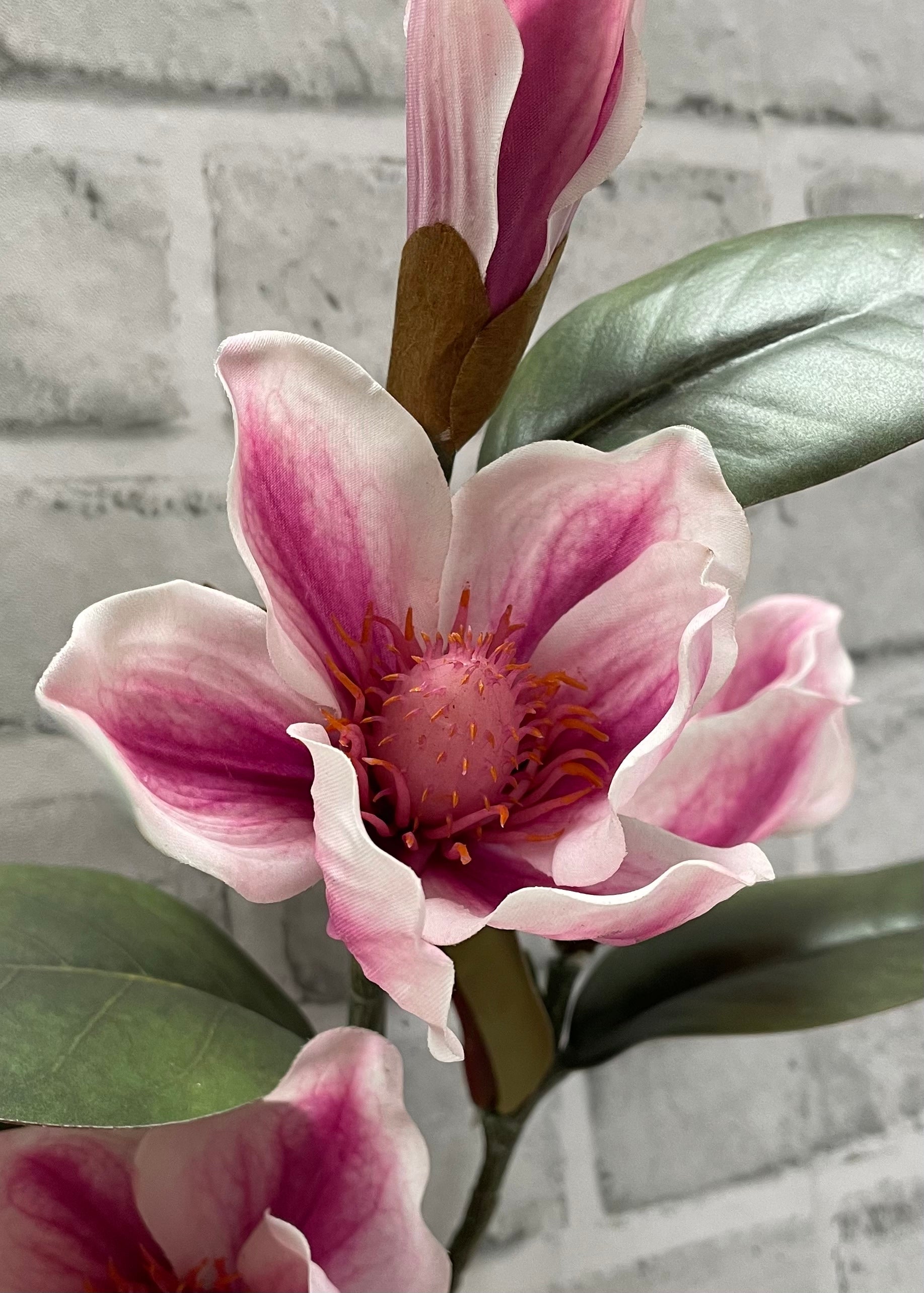 ITEM 01034 PK  - 26" FRESH TOUCH PINK MAGNOLIA SPRAY