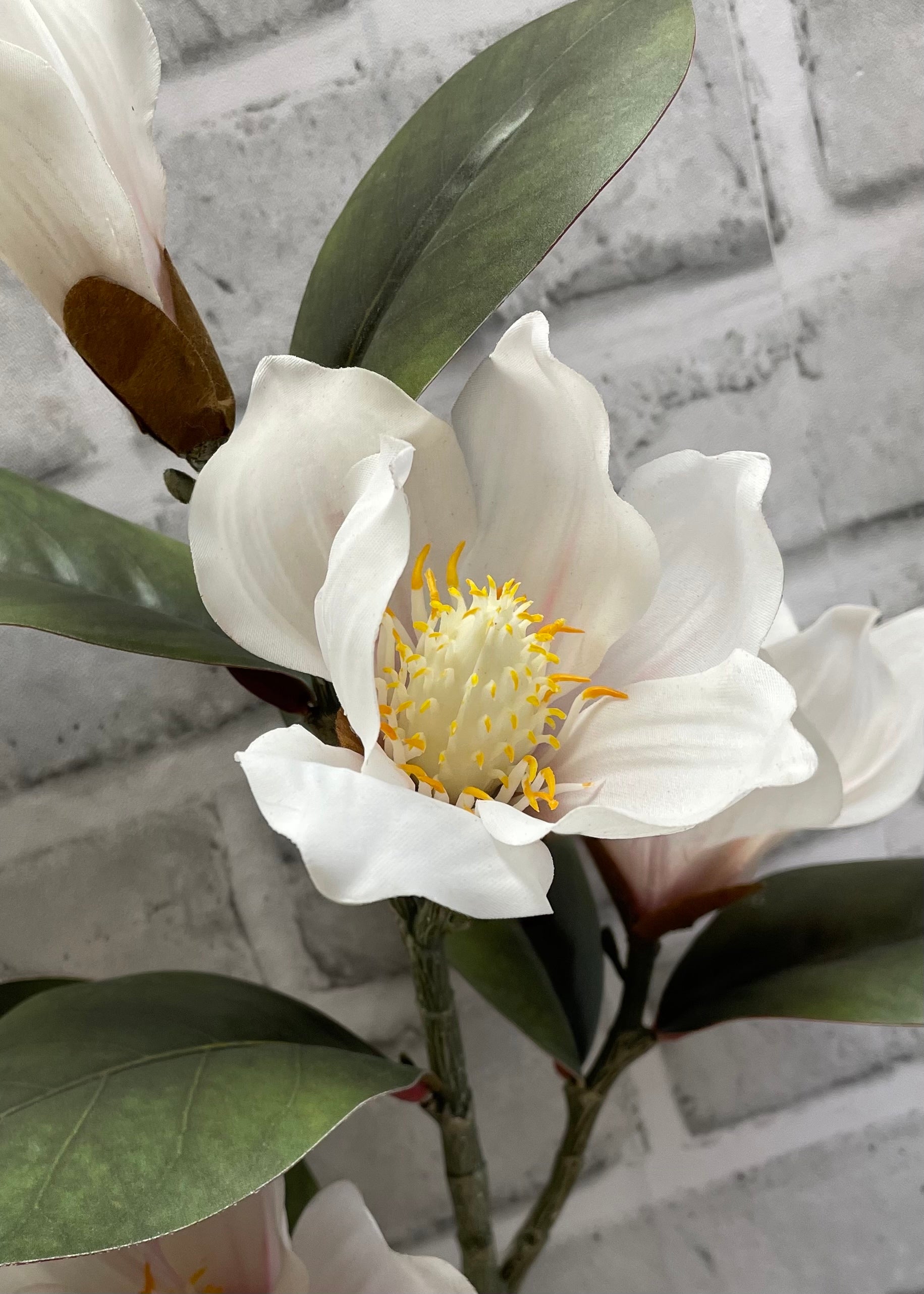 ITEM 01034 W  - 26" FRESH TOUCH WHITE MAGNOLIA SPRAY