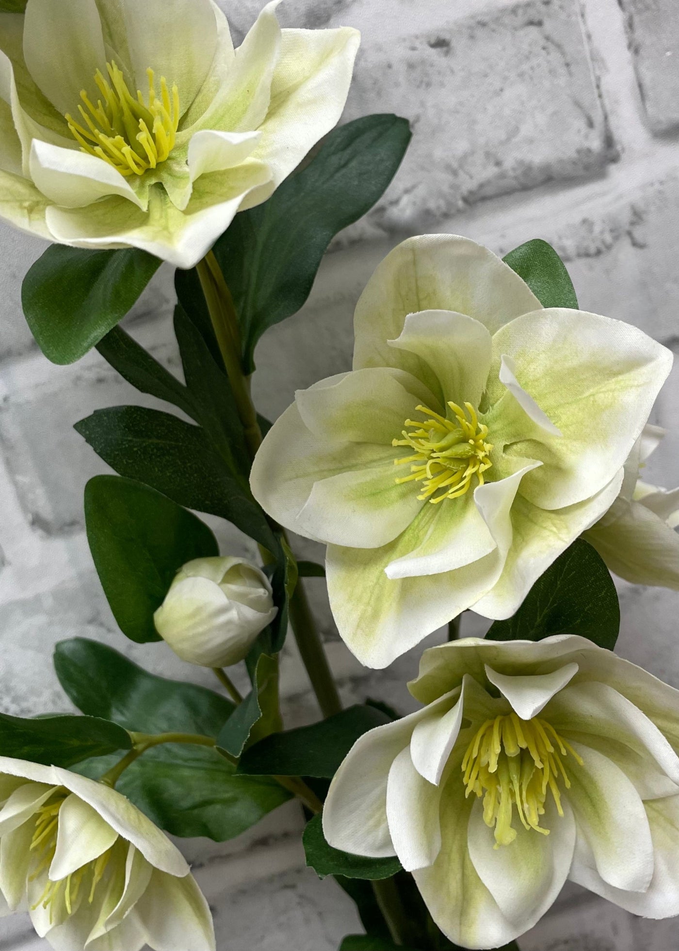 ITEM 01036 GRW  - 32" FRESH TOUCH GREEN WHITE HELLEBOES SPRAY