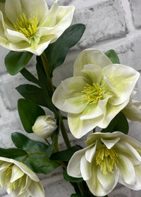 ITEM 01036 GRW  - 32" FRESH TOUCH GREEN WHITE HELLEBOES SPRAY