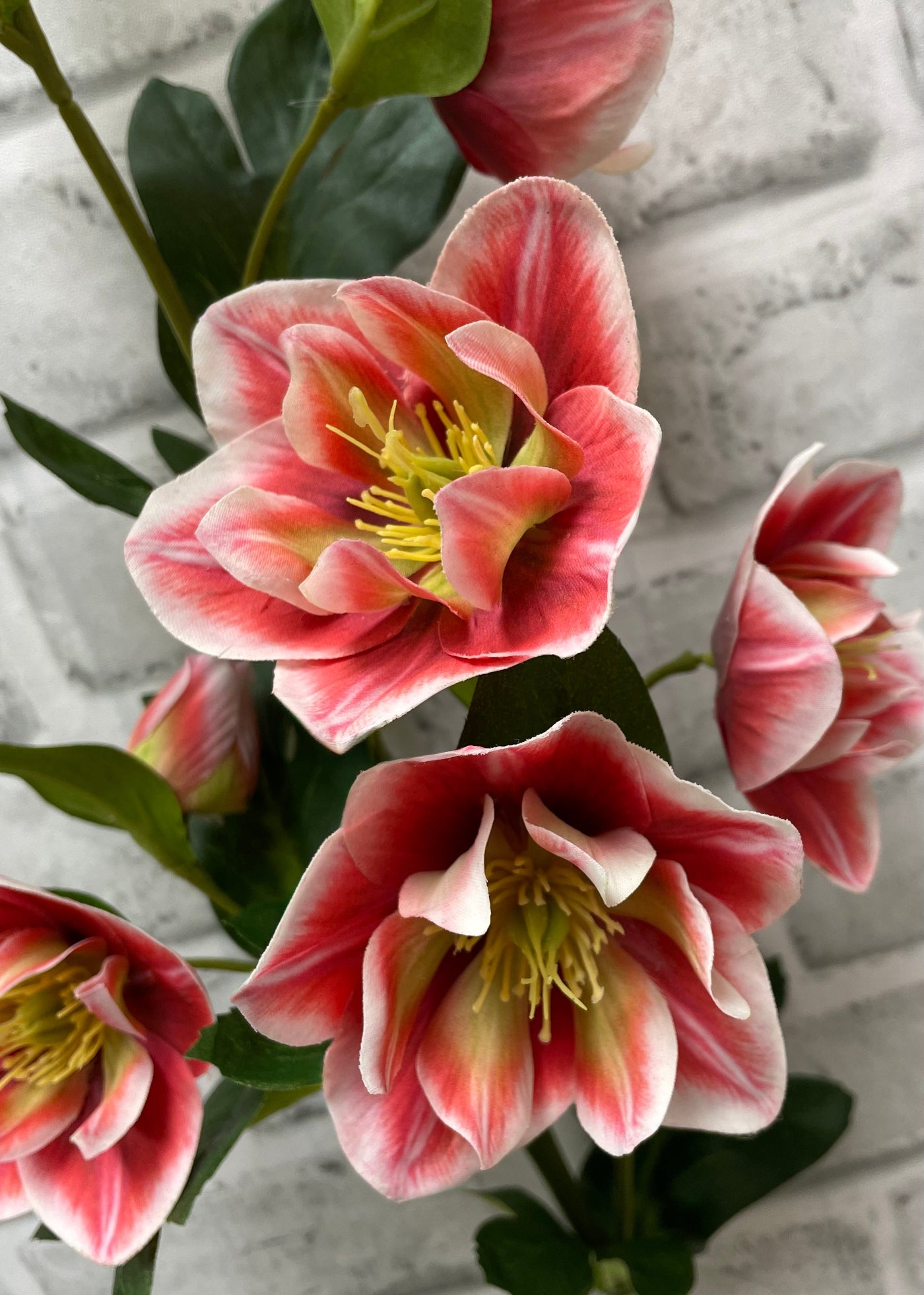 ITEM 01036 ROSE  - 32" FRESH TOUCH ROSE HELLEBOES SPRAY