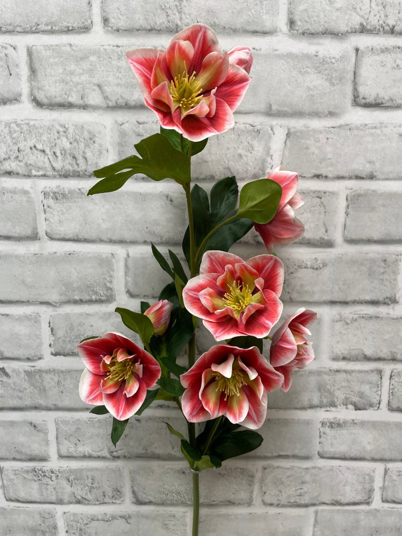 ITEM 01036 ROSE  - 32" FRESH TOUCH ROSE HELLEBOES SPRAY