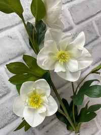 ITEM 01036 W  - 32" FRESH TOUCH WHITE HELLEBOES SPRAY