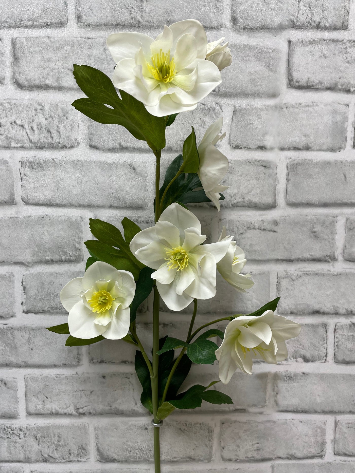 ITEM 01036 W  - 32" FRESH TOUCH WHITE HELLEBOES SPRAY