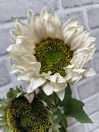 ITEM 01038 CM - 27" CREAM SUNFLOWER SPRAY