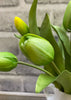 ITEM 10170 GR - 12" GREEN FRESH TOUCH TULIP BUNDLE (4 FLOWERS & 3 BUDS TO A BUNDLE)