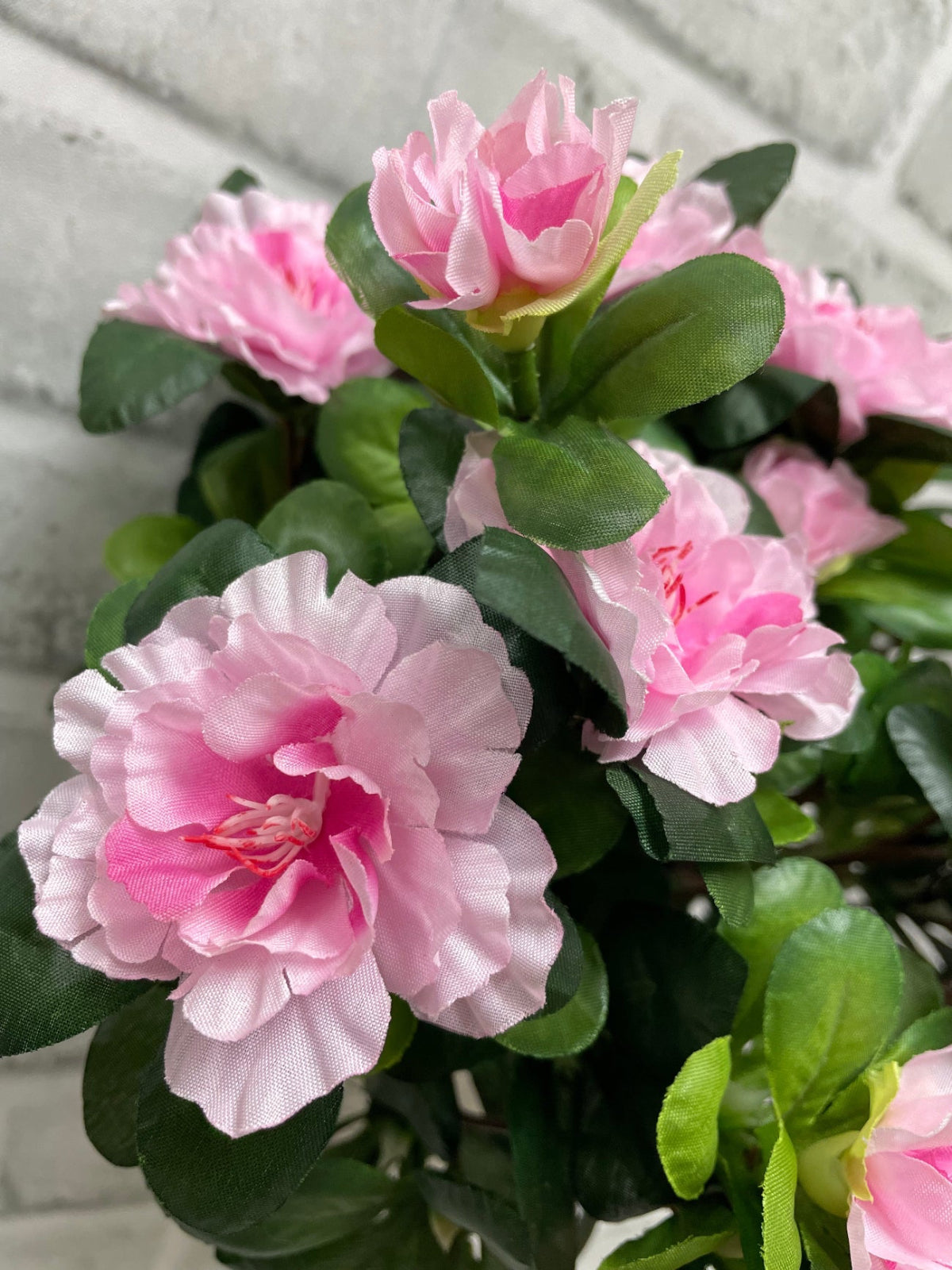 ITEM 10174 PK -  14.5" PINK AZALEA BUSH