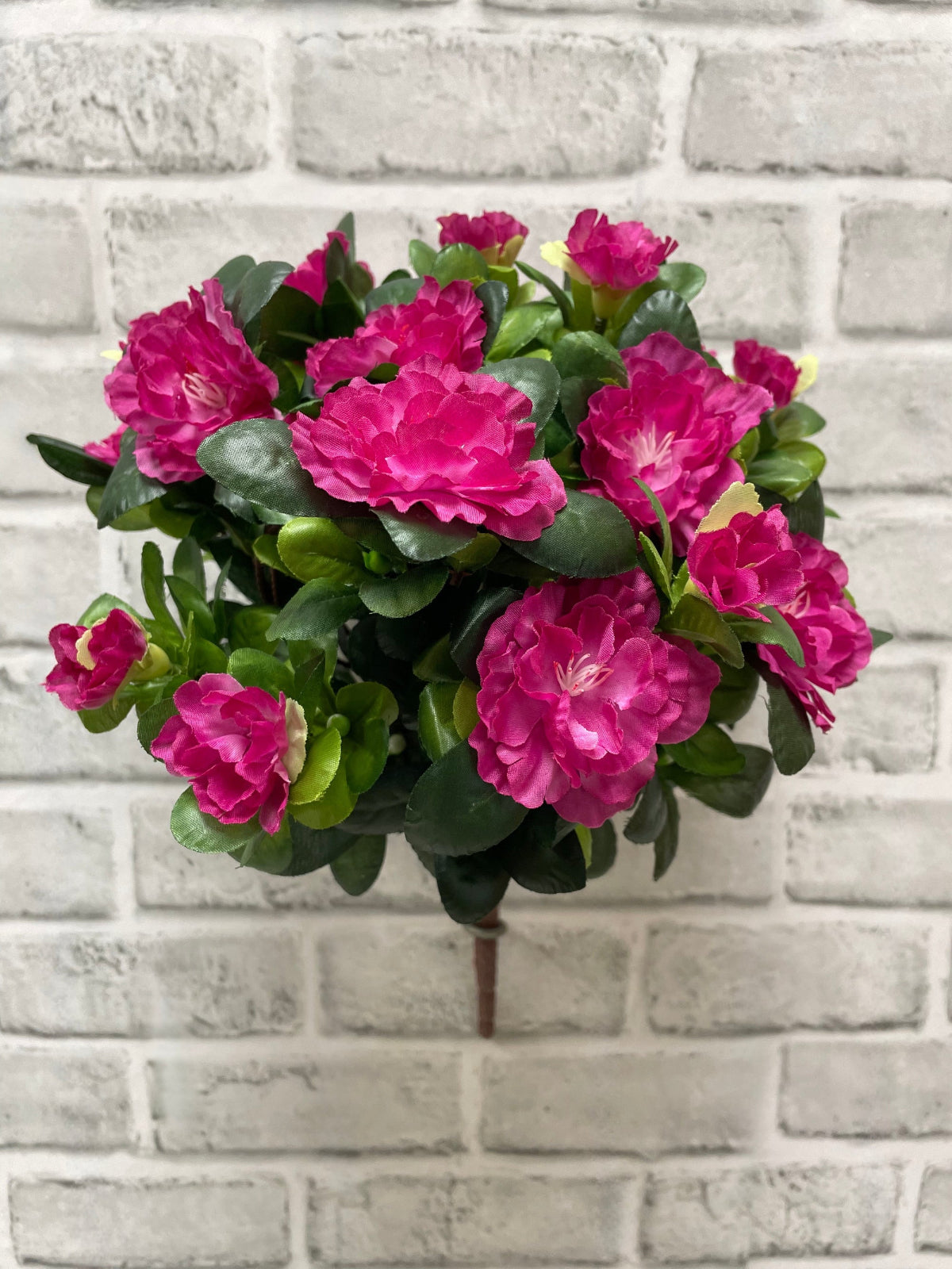 ITEM 10174 ROSE -  14.5" ROSE AZALEA BUSH