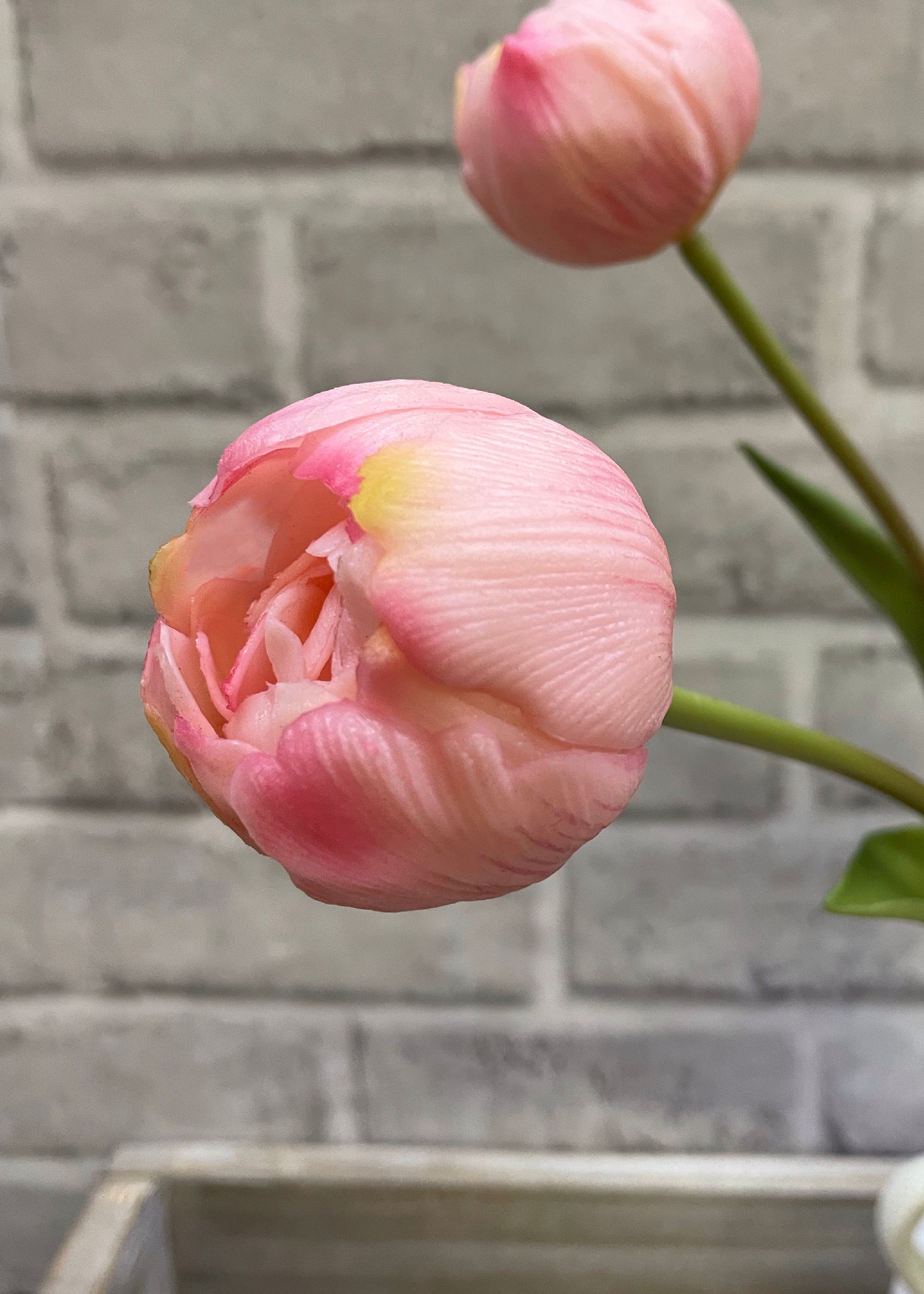 ITEM 10183 PK(AUGUST) - 18" FRESH TOUCH PINK DOUBLE PEONY TULIP BUNDLE (3 FLOWERS AND 2 BUDS TO A BUNDLE)