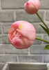 ITEM 10183 PK - 18" FRESH TOUCH PINK PEONY TULIP BUNDLE (3 FLOWERS AND 2 BUDS TO A BUNDLE)