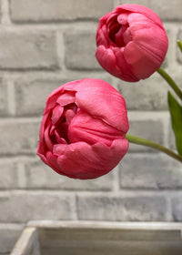 ITEM 10183 ROSE(AVAILABLE) - 18" FRESH TOUCH ROSE DOUBLE PEONY TULIP BUNDLE (3 FLOWERS AND 2 BUDS TO A BUNDLE)