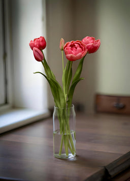 ITEM 10183 ROSE - 18" FRESH TOUCH ROSE DOUBLE PEONY TULIP BUNDLE (3 FLOWERS AND 2 BUDS TO A BUNDLE)