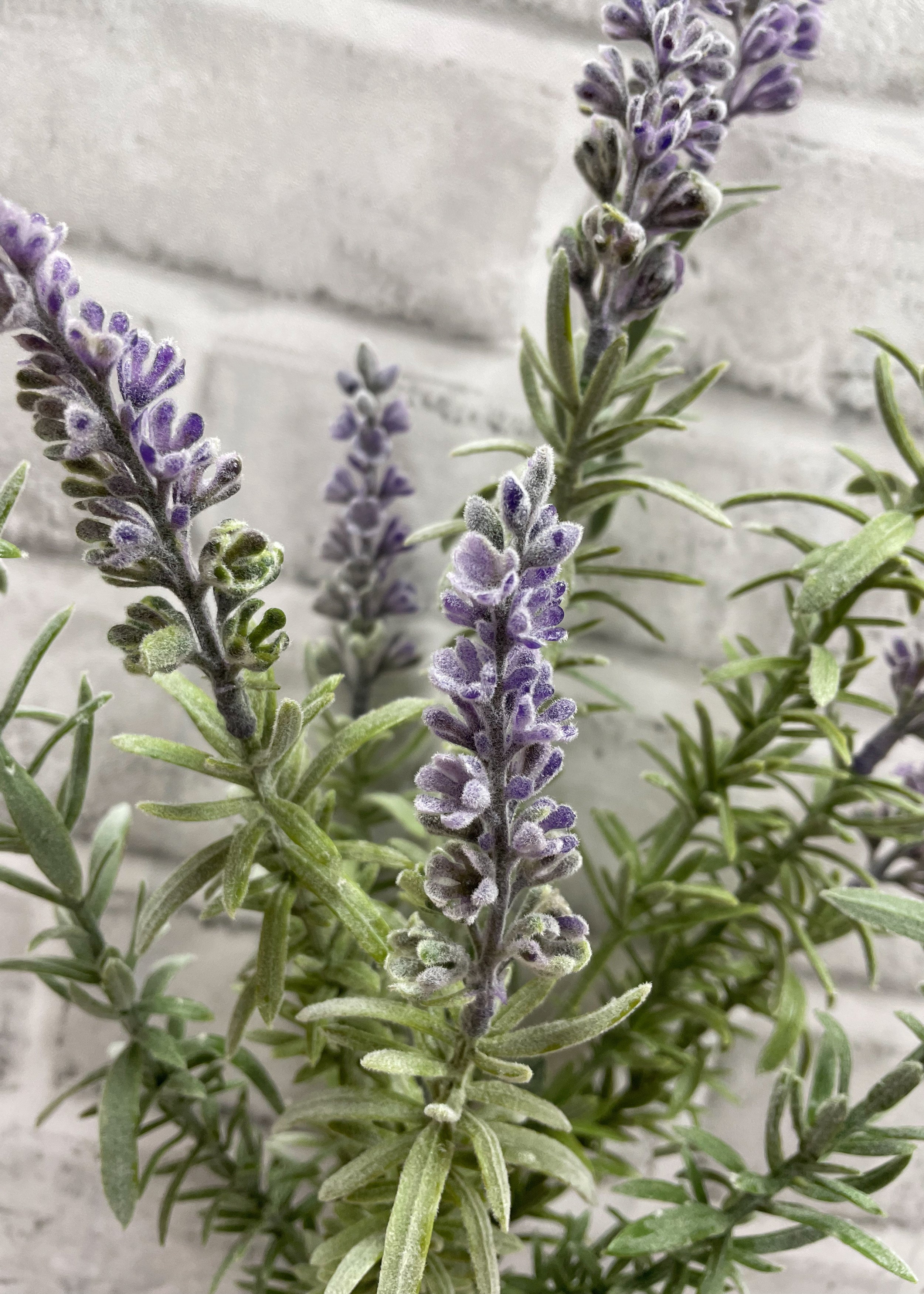 ITEM 10185 - 17" LAVENDER BUNDLE