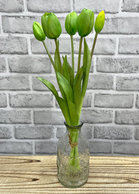 ITEM 10186 GR - 16" FRESH TOUCH DYNASTY GREEN TULIP BUNDLE (3 FLOWERS & 2 BUDS TO A BUNDLE)