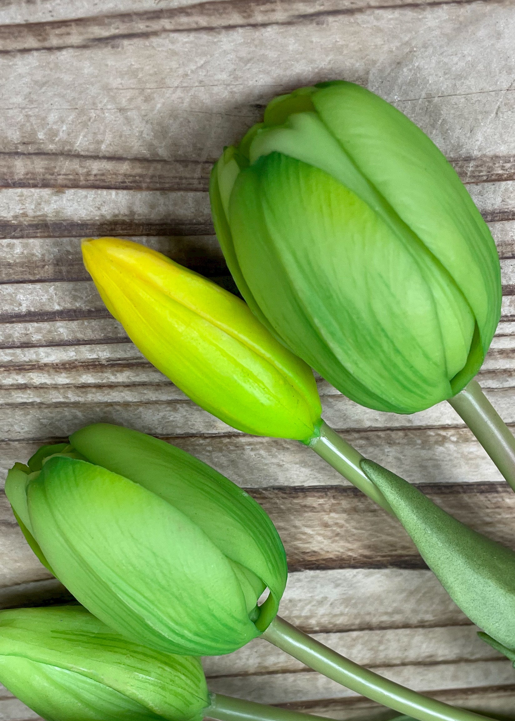 ITEM 10186 GR - 16" FRESH TOUCH DYNASTY GREEN TULIP BUNDLE (3 FLOWERS & 2 BUDS TO A BUNDLE)