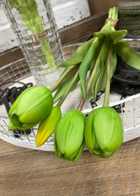 ITEM 10186 GR - 16" FRESH TOUCH DYNASTY GREEN TULIP BUNDLE (3 FLOWERS & 2 BUDS TO A BUNDLE)