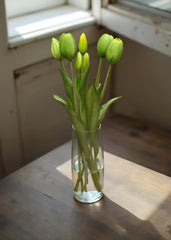 ITEM 10186 GR - 16" FRESH TOUCH DYNASTY GREEN TULIP BUNDLE (3 FLOWERS & 2 BUDS TO A BUNDLE)