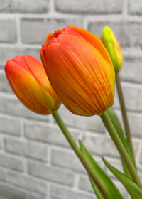 ITEM 10186 O - 16" FRESH TOUCH DYNASTY ORANGE TULIP BUNDLE (3 FLOWERS & 2 BUDS TO A BUNDLE)