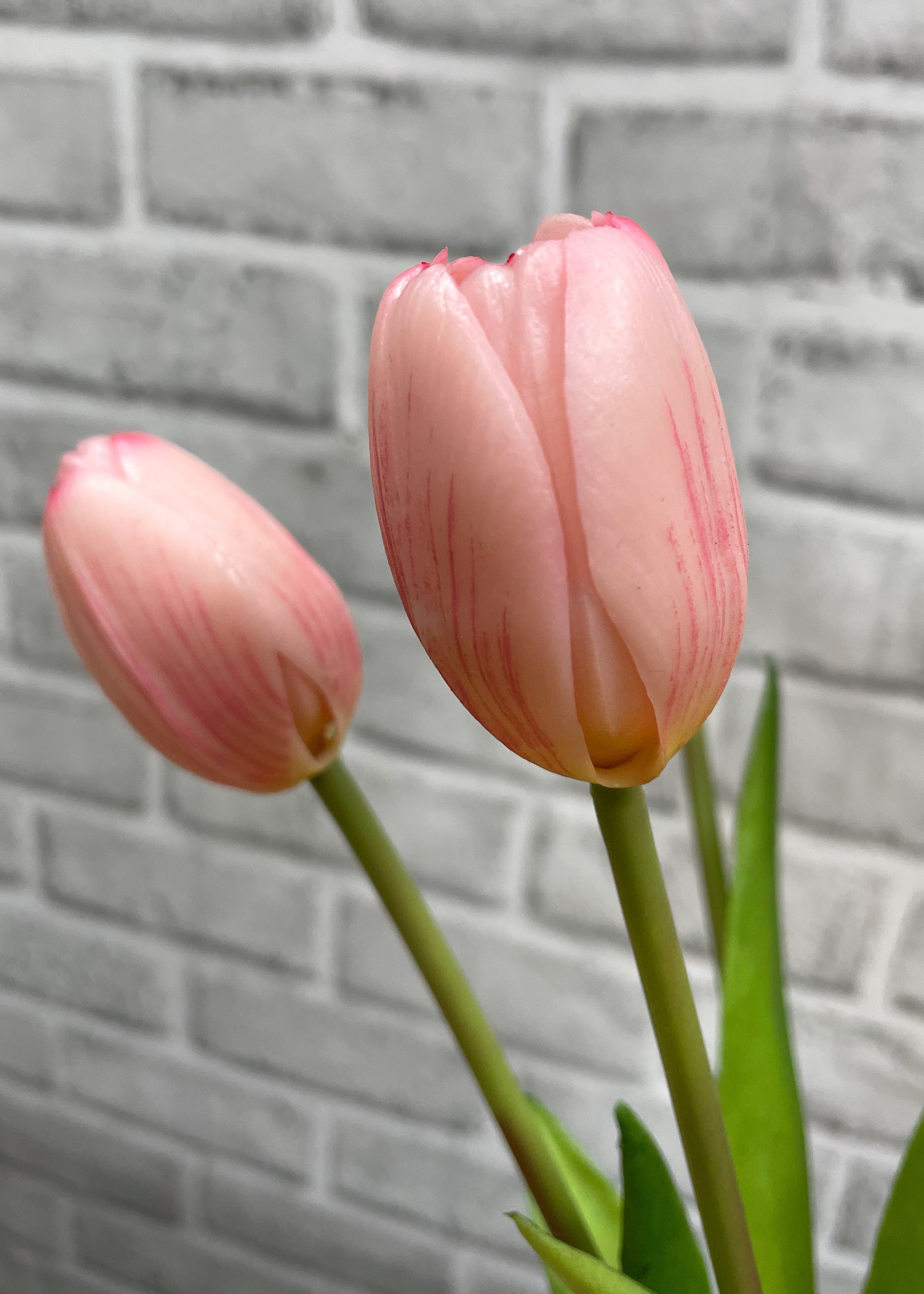 ITEM 10186 PK(AUGUST) - 16" FRESH TOUCH DYNASTY PINK TULIP BUNDLE (3 FLOWERS & 2 BUDS TO A BUNDLE)