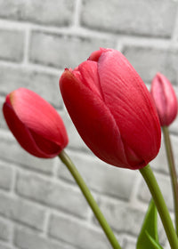 ITEM 10186 ROSE(AUGUST) - 16" FRESH TOUCH  DYNASTY ROSE TULIP BUNDLE (3 FLOWERS & 2 BUDS TO A BUNDLE)