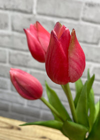 ITEM 10187 ROSE - 10" FRESH TOUCH MINI WILD ROSE TULIP BUNDLE (3 FLOWERS & 2 BUDS TO A BUNDLE)