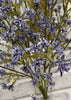 ITEM 10192 PUR - 22" PURPLE SEEDUM SEED BUSH