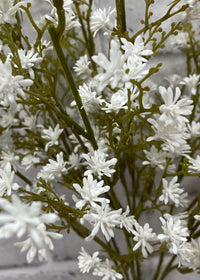 ITEM 10192 W - 22" WHITE SEEDUM SEED BUSH