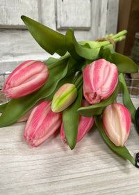 ITEM 10194 COTTON(AUGUST) - 12" FRESH TOUCH COTTON CANDY PINK FORMOSA TULIP BUNDLE (4 FLOWERS & 3 BUDS TO A BUNDLE)