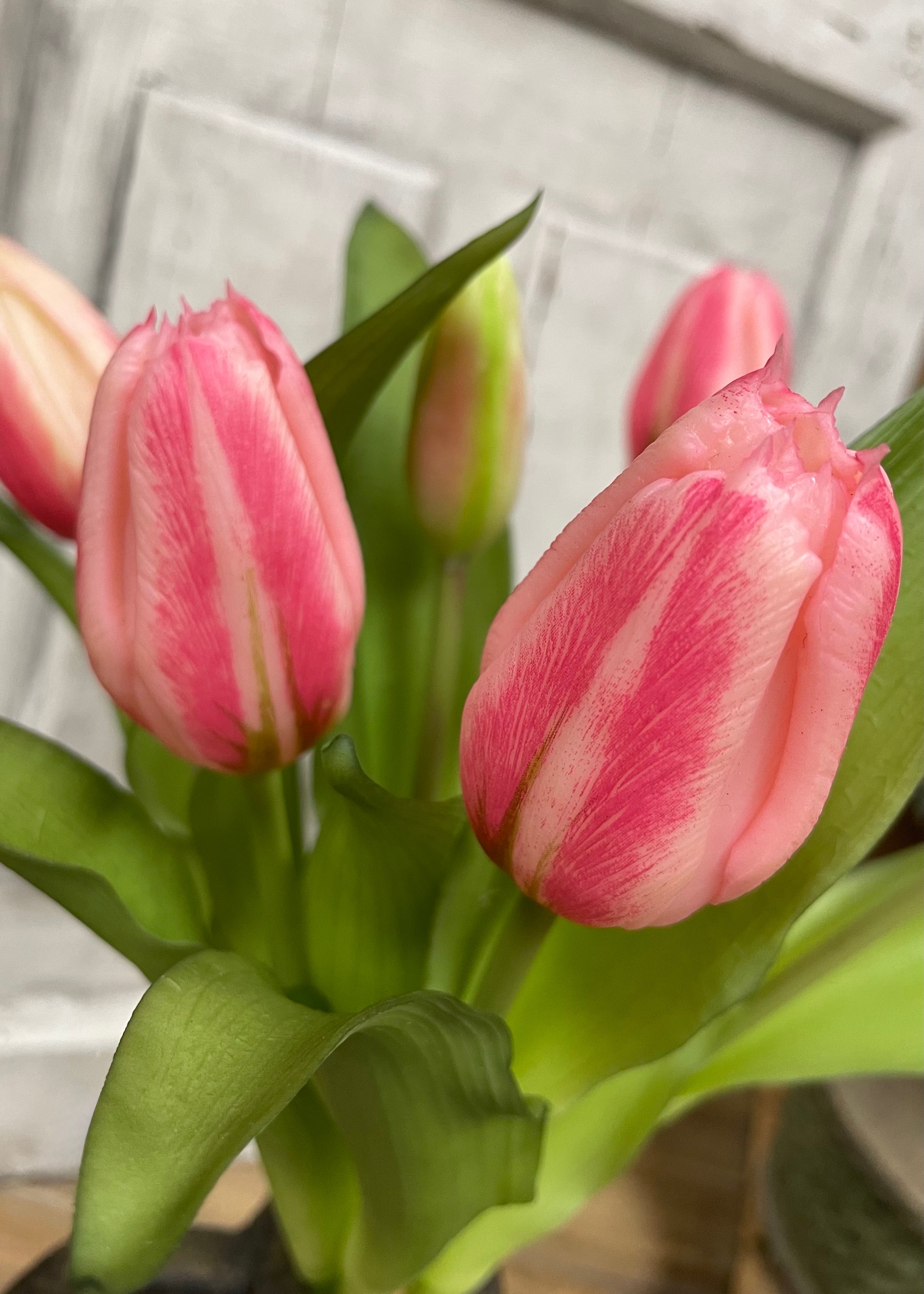 ITEM 10194 COTTON(AUGUST) - 12" FRESH TOUCH COTTON CANDY PINK FORMOSA TULIP BUNDLE (4 FLOWERS & 3 BUDS TO A BUNDLE)