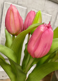 ITEM 10194 DEEP BLUSH - 12" FRESH TOUCH DEEP BLUSH PINK FORMOSA TULIP BUNDLE (4 FLOWERS & 3 BUDS TO A BUNDLE)