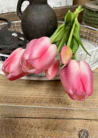 ITEM 10196 COTTON - 18" FRESH TOUCH COTTON CANDY PINK DAY DREAM TULIP BUNDLE (3 FLOWERS & 2 BUDS TO A BUNDLE)