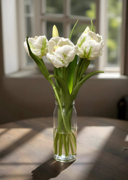 ITEM 10199 W - 16" FRESH TOUCH WHITE/GREEN TULIPA PARROT TULIP BUNDLE (3 FLOWERS & 2 BUDS TO A BUNDLE)
