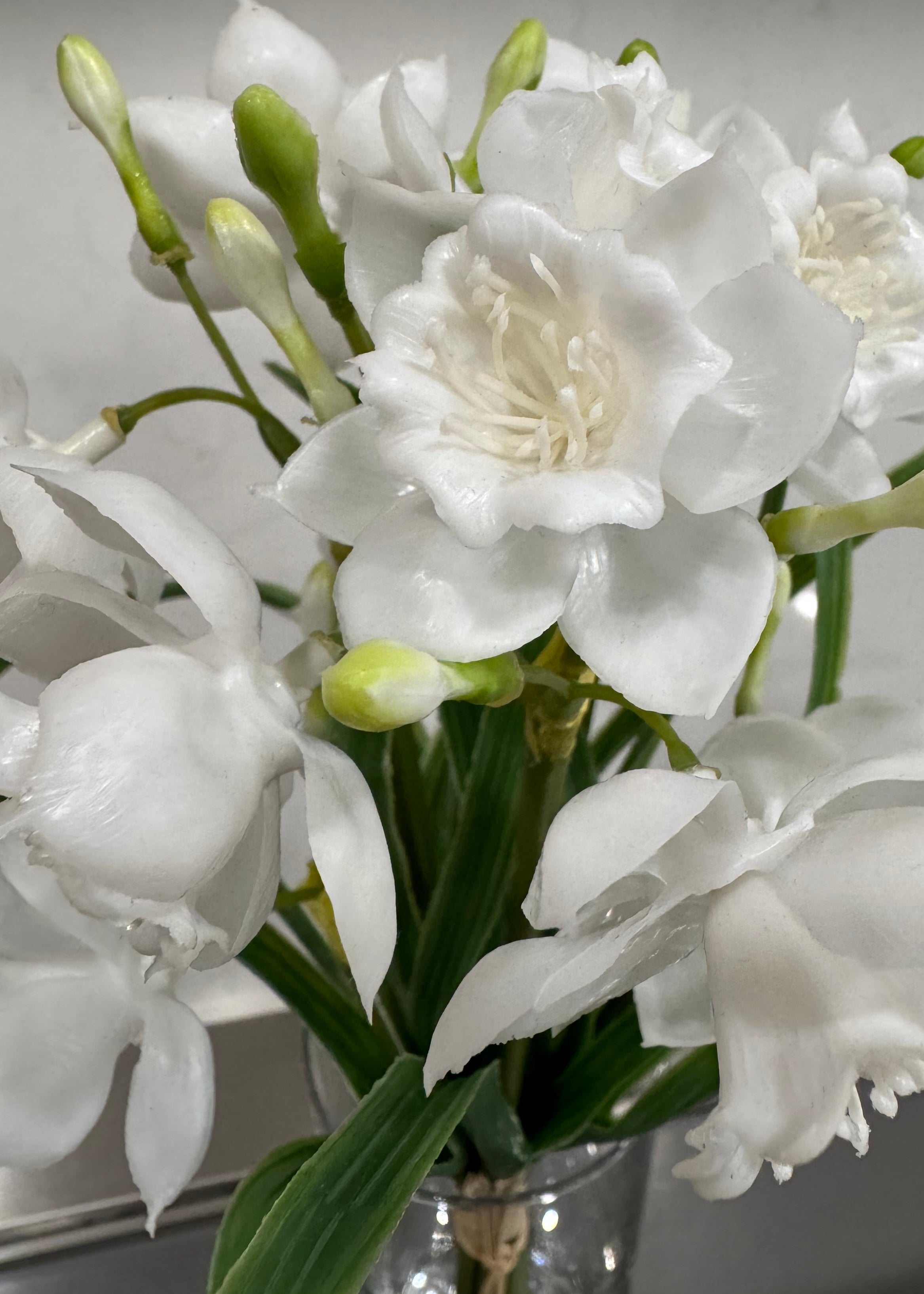 ITEM 10201 W - 12" FRESH TOUCH WHITE PAPERWHITE BUNDLE