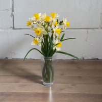 ITEM 10201 Y - 12" FRESH TOUCH YELLOW PAPERWHITE BUNDLE