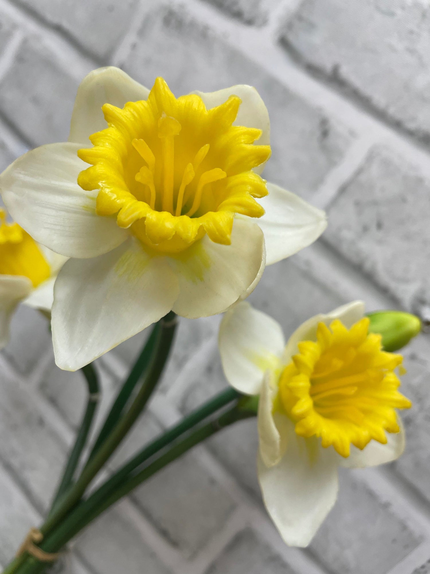 ITEM 10202 WY - 17.5" FRESH TOUCH DAFFODIL BUNDLE (3 HEADS, 2 BUDS)