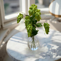 ITEM 10203 GR - 25.5" FRESH TOUCH GREEN HOPS BUNDLE WITH 5 STEMS