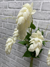 ITEM 10203 W - 25.5" FRESH TOUCH WHITE HOPS BUNDLE WITH 5 STEMS